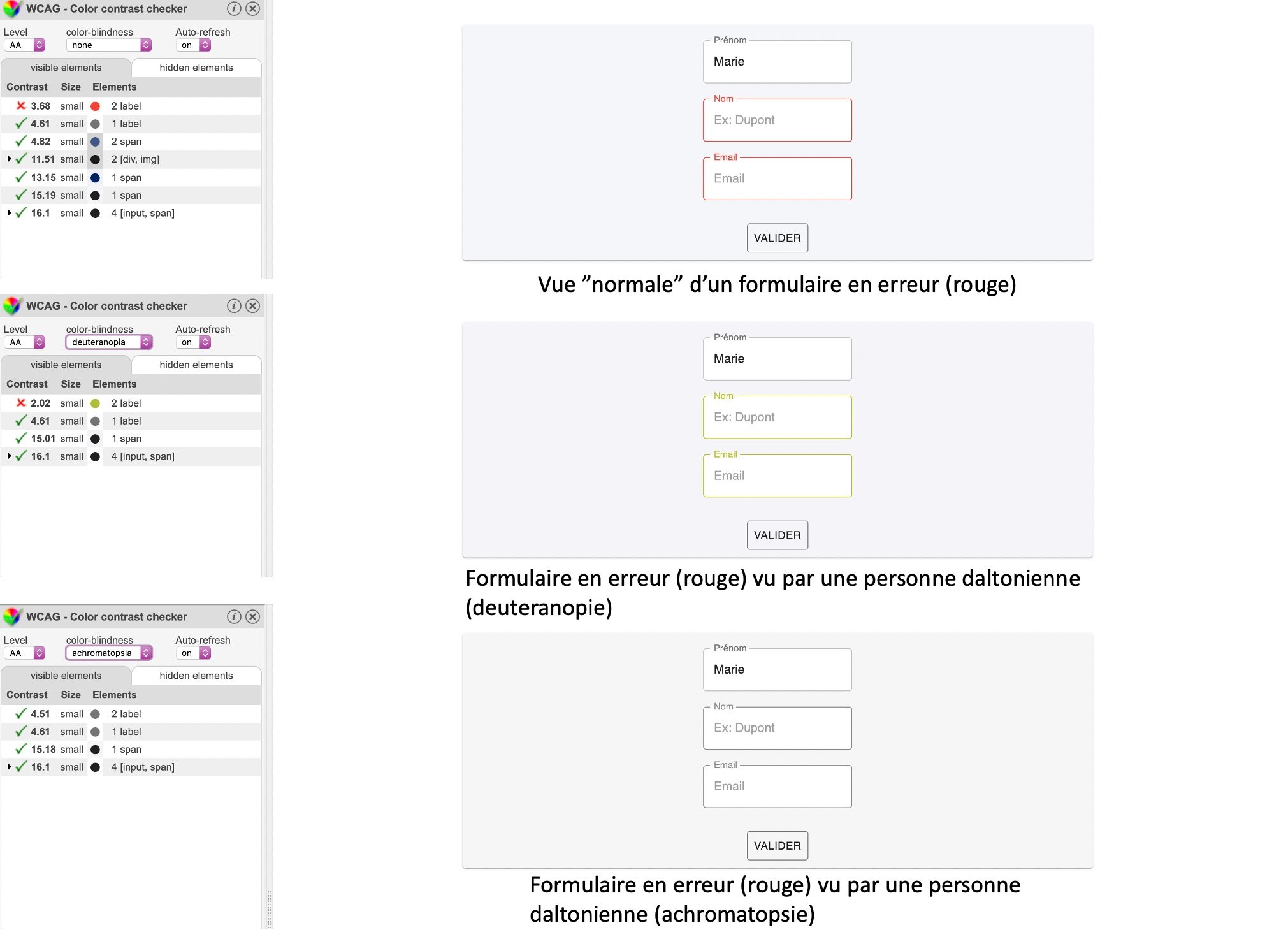 Formulaire en erreur (rouge) selon la vue: normale, deuteranopie, achromatopsie